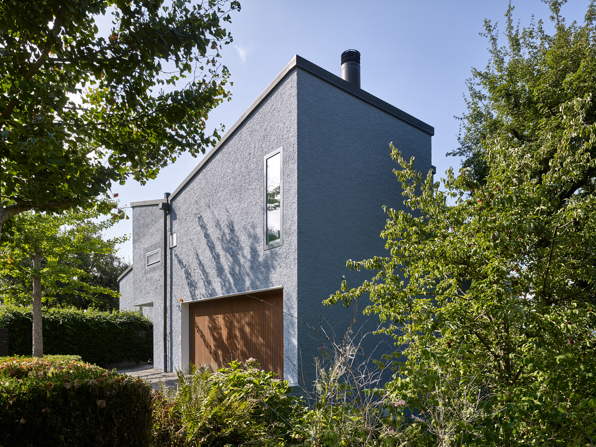 E15560 Alpa 052503 SCREEN